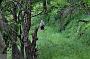 1248 Wandeling vanaf camping